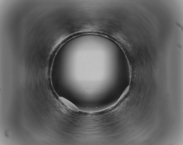 X0000097781216200803141800