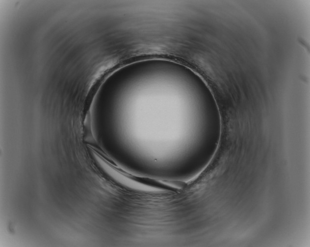 X0000097781218200803141800