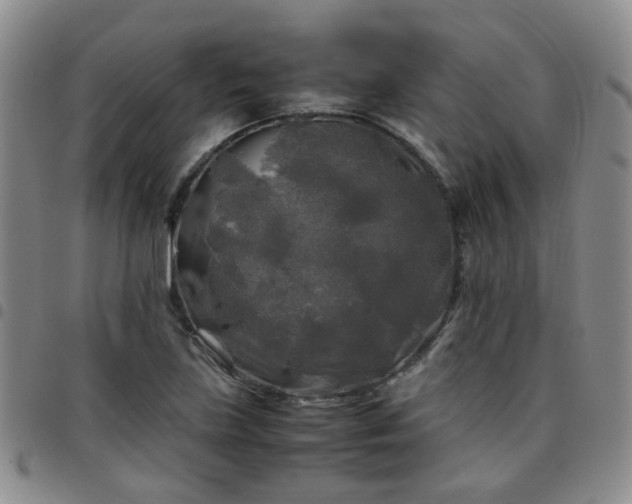 X0000097781219200803141800