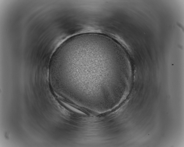 X0000097781220200803141800