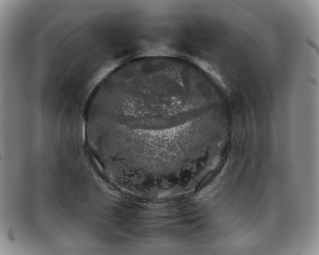 X0000097781221200803141800