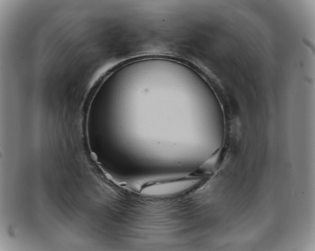X0000097781222200803141800