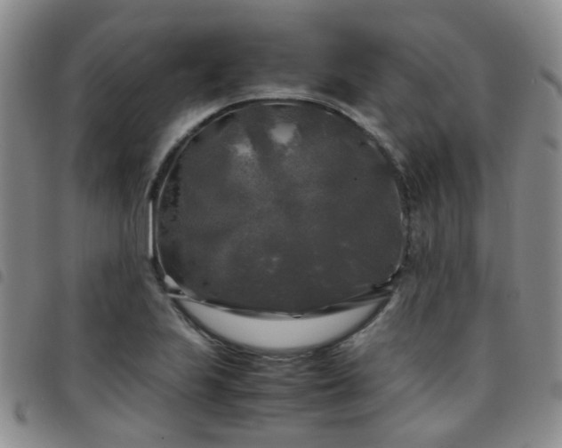 X0000097781223200803141800