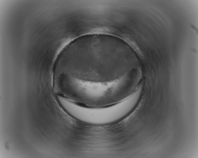 X0000097781224200803141800