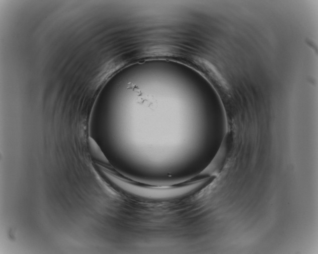 X0000097781225200803141800