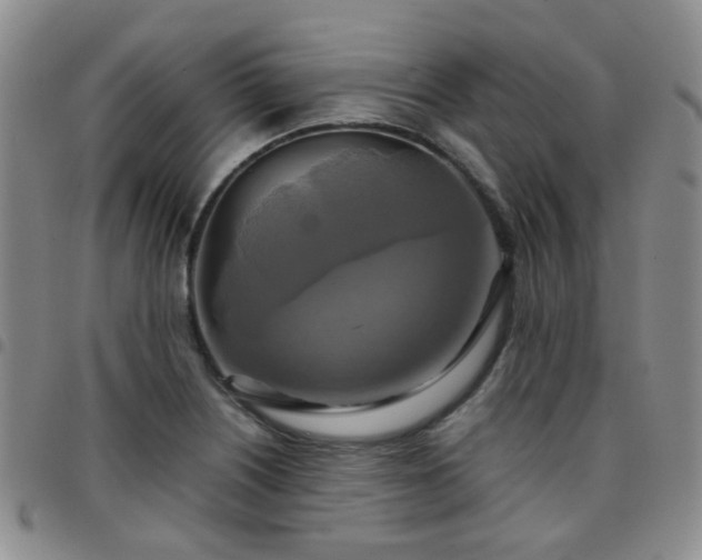 X0000097781226200803141800