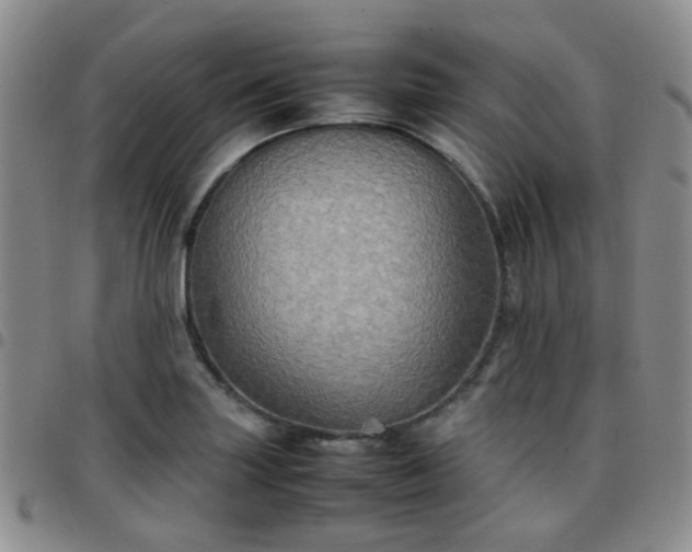 X0000097781227200803141800