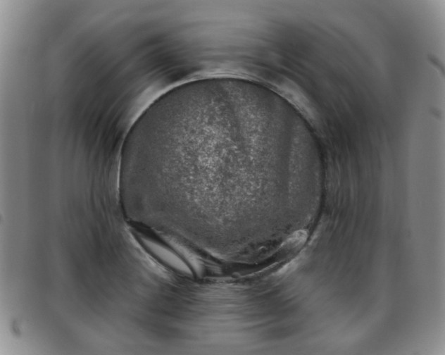 X0000097781228200803141800