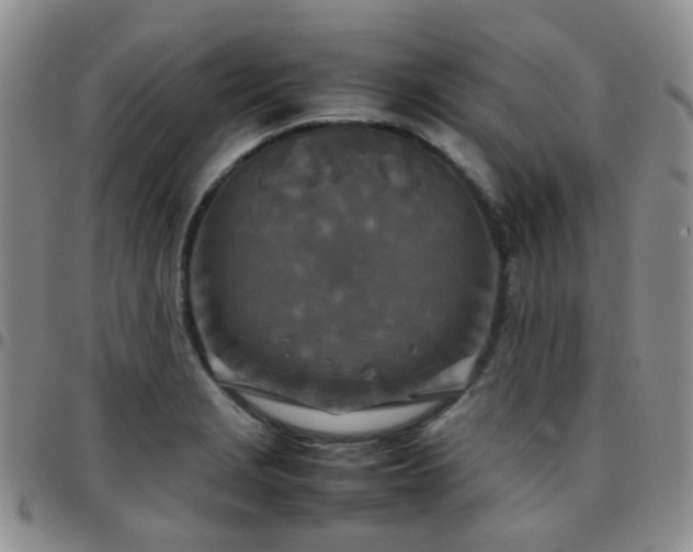 X0000097781229200803141800