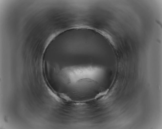 X0000097781231200803141800