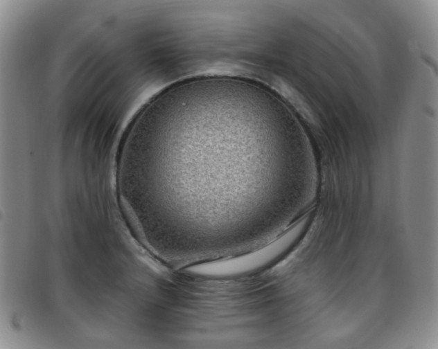 X0000097781232200803141800