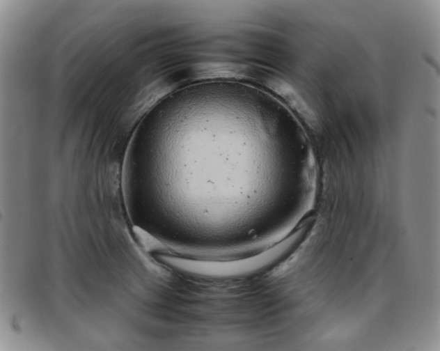 X0000097781233200803141800