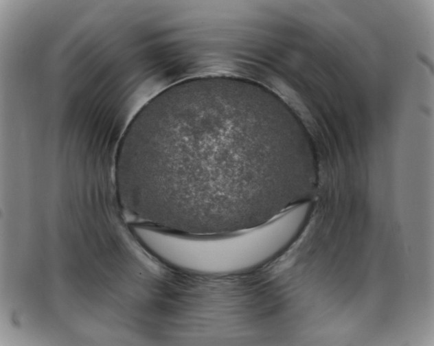 X0000097781234200803141800