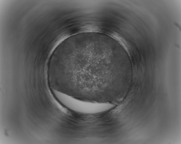 X0000097781235200803141800