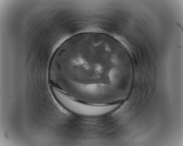 X0000097781237200803141800
