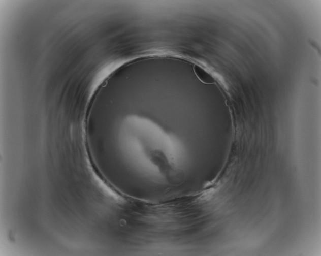 X0000097781239200803141800