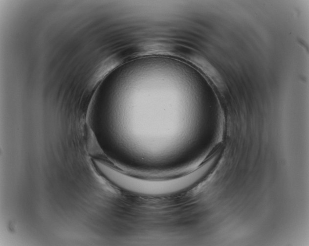 X0000097781241200803141800