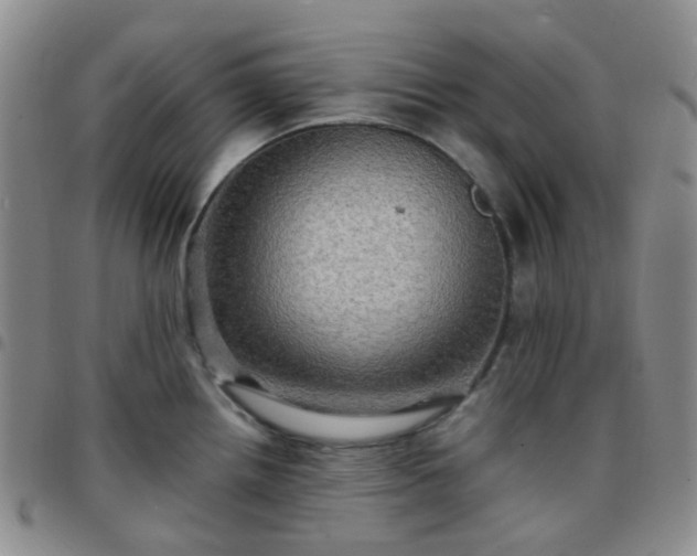 X0000097781242200803141800