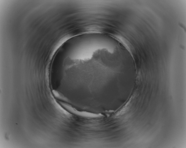 X0000097781243200803141800