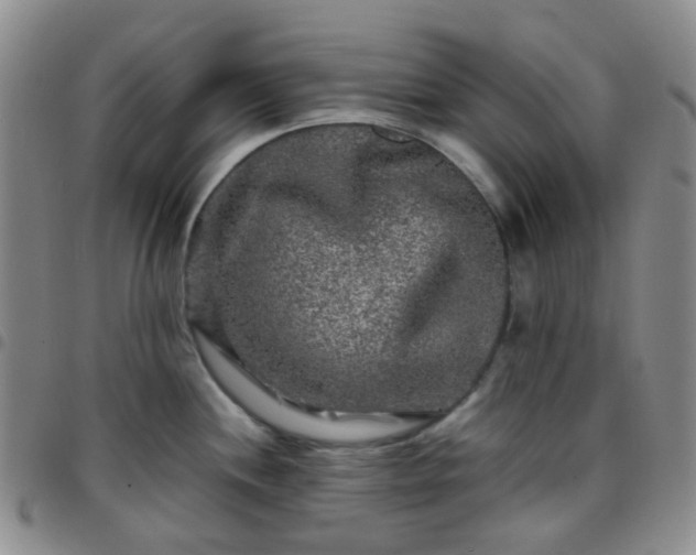 X0000097781244200803141800