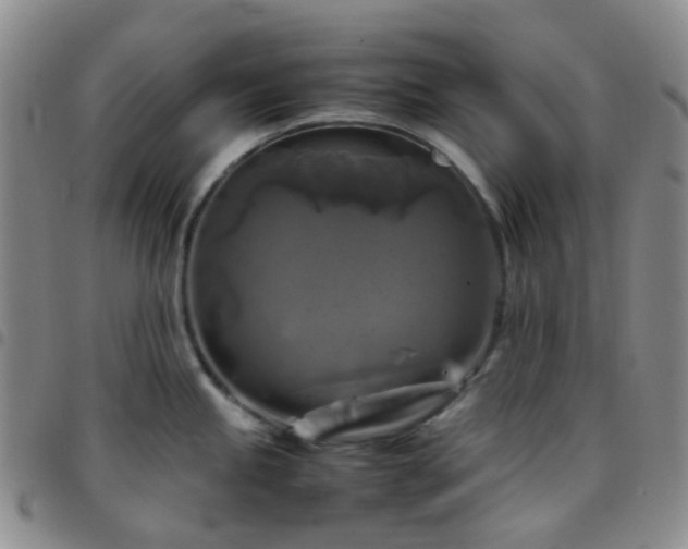 X0000097781245200803141800