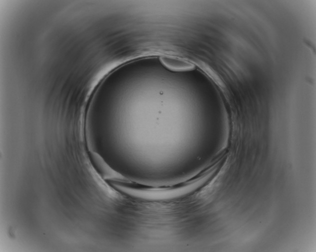 X0000097781246200803141800