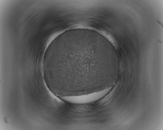 X0000097781247200803141800