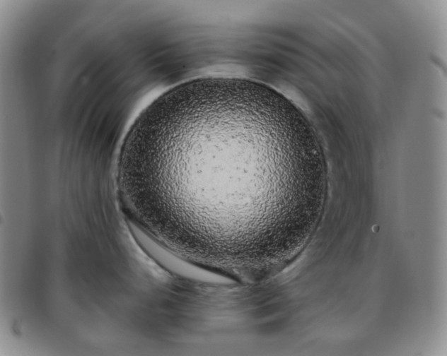 X0000097781248200803141800