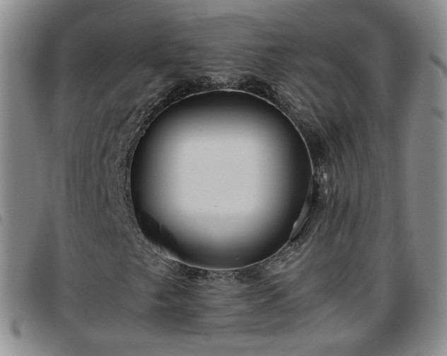 X0000097781249200803141759