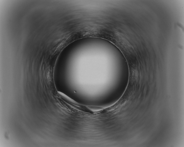 X0000097781250200803141759