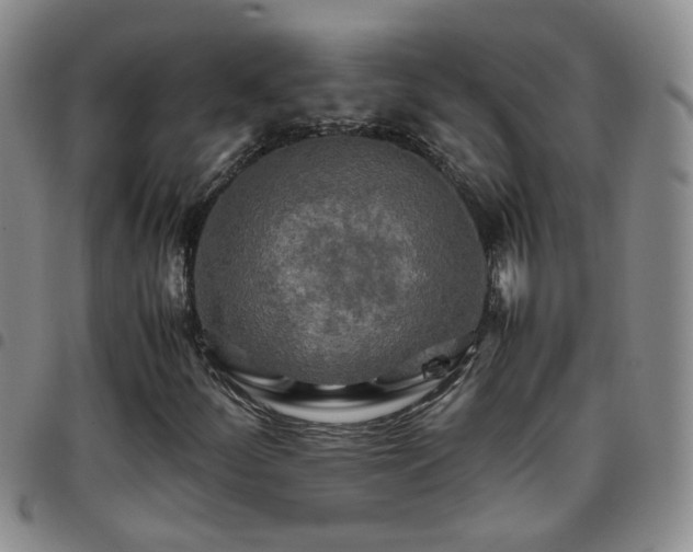 X0000097781252200803141759