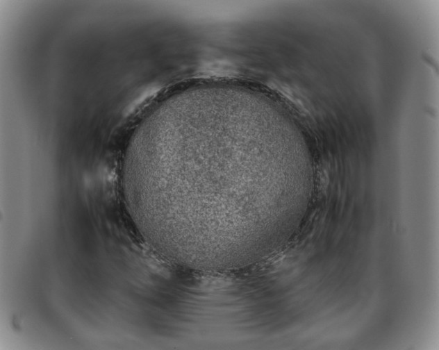 X0000097781254200803141759