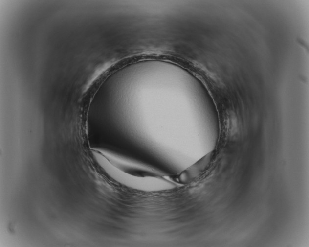 X0000097781256200803141759