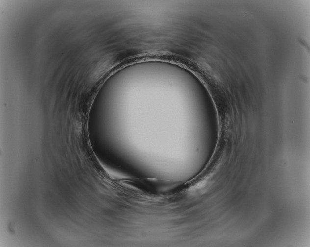X0000097781257200803141759