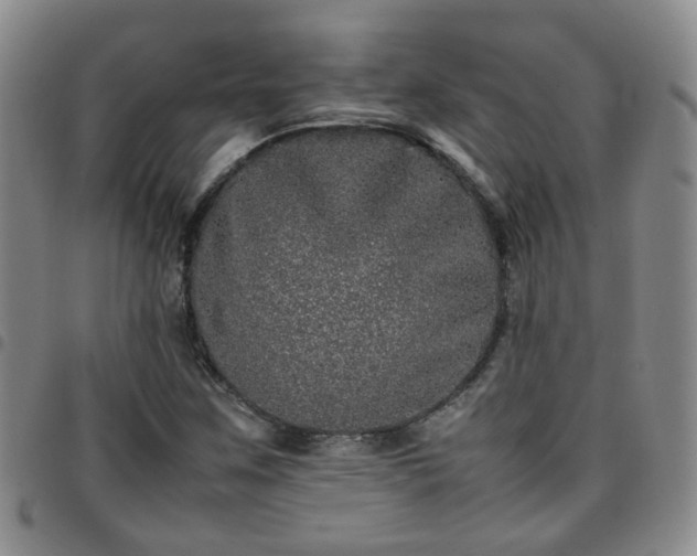 X0000097781259200803141759