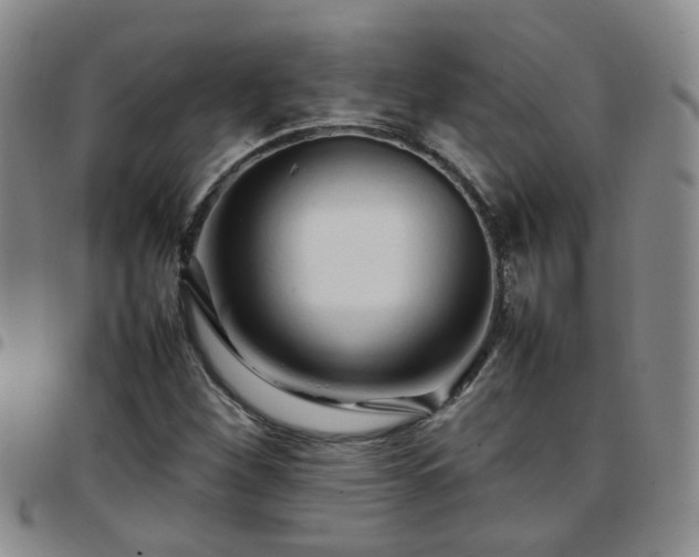 X0000097781260200803141759