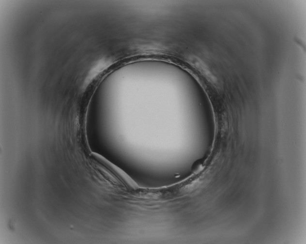 X0000097781261200803141759