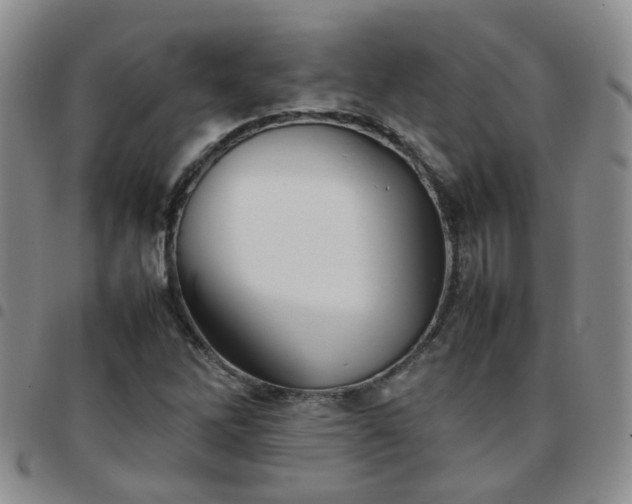 X0000097781262200803141759