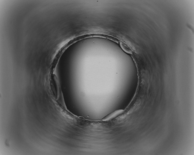 X0000097781264200803141759