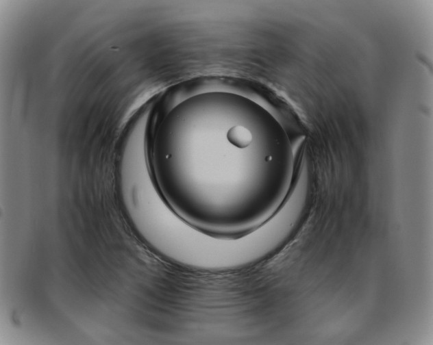 X0000097781266200803141759