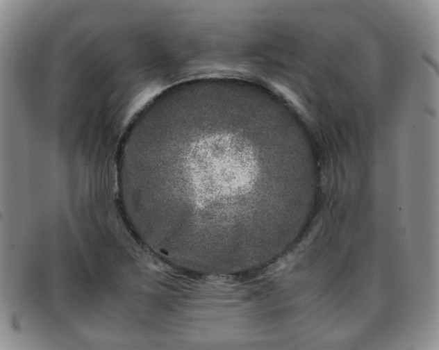 X0000097781267200803141759