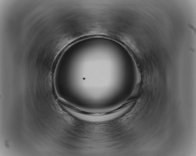 X0000097781268200803141759