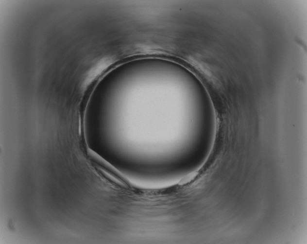 X0000097781269200803141759