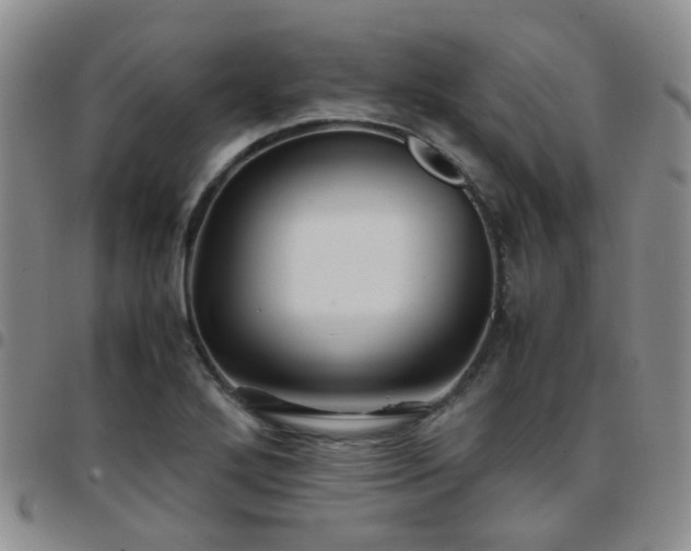 X0000097781272200803141759