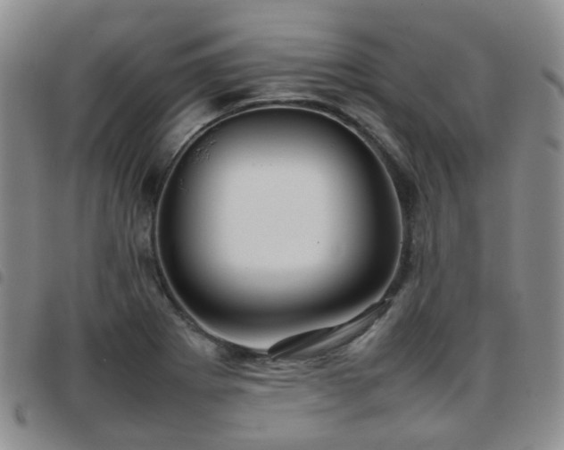 X0000097781273200803141759