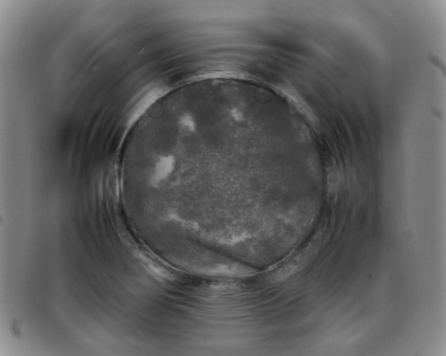 X0000097781274200803141759