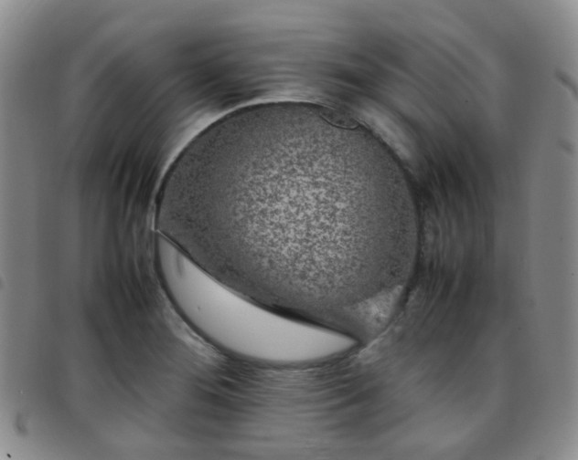 X0000097781276200803141759