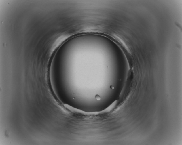 X0000097781277200803141759