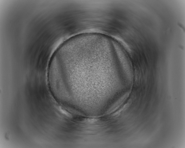 X0000097781278200803141759