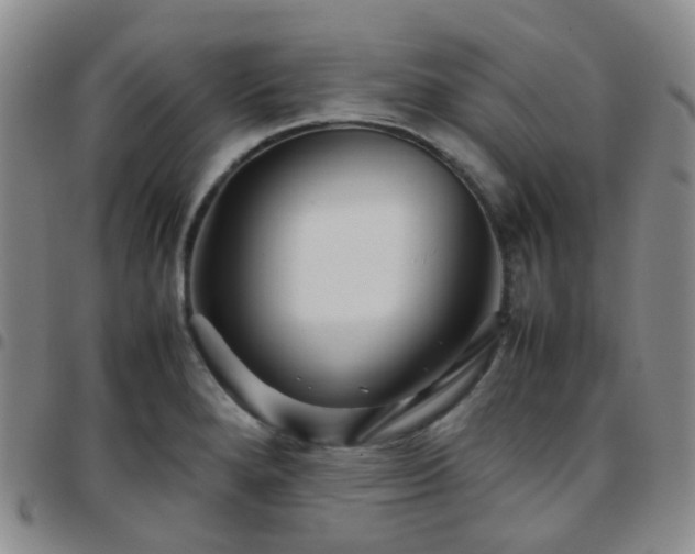 X0000097781280200803141759